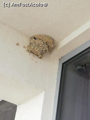 [P05] Ciubul de randunici din balconul nostru » foto by fredutza
 - 
<span class="allrVoted glyphicon glyphicon-heart hidden" id="av1074043"></span>
<a class="m-l-10 hidden" id="sv1074043" onclick="voting_Foto_DelVot(,1074043,881)" role="button">șterge vot <span class="glyphicon glyphicon-remove"></span></a>
<a id="v91074043" class=" c-red"  onclick="voting_Foto_SetVot(1074043)" role="button"><span class="glyphicon glyphicon-heart-empty"></span> <b>LIKE</b> = Votează poza</a> <img class="hidden"  id="f1074043W9" src="/imagini/loader.gif" border="0" /><span class="AjErrMes hidden" id="e1074043ErM"></span>