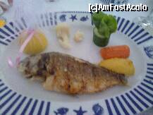[P51] felul primcipal la restaurantul pescaresc » foto by nicole33
 - 
<span class="allrVoted glyphicon glyphicon-heart hidden" id="av227580"></span>
<a class="m-l-10 hidden" id="sv227580" onclick="voting_Foto_DelVot(,227580,93)" role="button">șterge vot <span class="glyphicon glyphicon-remove"></span></a>
<a id="v9227580" class=" c-red"  onclick="voting_Foto_SetVot(227580)" role="button"><span class="glyphicon glyphicon-heart-empty"></span> <b>LIKE</b> = Votează poza</a> <img class="hidden"  id="f227580W9" src="/imagini/loader.gif" border="0" /><span class="AjErrMes hidden" id="e227580ErM"></span>