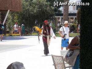 [P26] Ne-a vizitati si capitanul Jack Sparrow...  » foto by genicon
 - 
<span class="allrVoted glyphicon glyphicon-heart hidden" id="av339180"></span>
<a class="m-l-10 hidden" id="sv339180" onclick="voting_Foto_DelVot(,339180,93)" role="button">șterge vot <span class="glyphicon glyphicon-remove"></span></a>
<a id="v9339180" class=" c-red"  onclick="voting_Foto_SetVot(339180)" role="button"><span class="glyphicon glyphicon-heart-empty"></span> <b>LIKE</b> = Votează poza</a> <img class="hidden"  id="f339180W9" src="/imagini/loader.gif" border="0" /><span class="AjErrMes hidden" id="e339180ErM"></span>