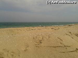 [P15] Iar e soare. Stam dupa o mica duna ca bate vantul » foto by mugur007
 - 
<span class="allrVoted glyphicon glyphicon-heart hidden" id="av619322"></span>
<a class="m-l-10 hidden" id="sv619322" onclick="voting_Foto_DelVot(,619322,935)" role="button">șterge vot <span class="glyphicon glyphicon-remove"></span></a>
<a id="v9619322" class=" c-red"  onclick="voting_Foto_SetVot(619322)" role="button"><span class="glyphicon glyphicon-heart-empty"></span> <b>LIKE</b> = Votează poza</a> <img class="hidden"  id="f619322W9" src="/imagini/loader.gif" border="0" /><span class="AjErrMes hidden" id="e619322ErM"></span>