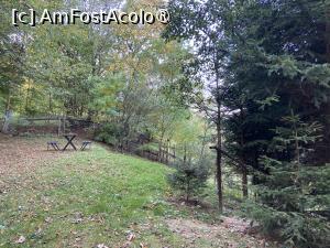 [P17] Pensiunea Domnescu, Sălişte - relaxare &icirc;n natură. Şi mai sus pe deal » foto by nicole33
 - 
<span class="allrVoted glyphicon glyphicon-heart hidden" id="av1406969"></span>
<a class="m-l-10 hidden" id="sv1406969" onclick="voting_Foto_DelVot(,1406969,956)" role="button">șterge vot <span class="glyphicon glyphicon-remove"></span></a>
<a id="v91406969" class=" c-red"  onclick="voting_Foto_SetVot(1406969)" role="button"><span class="glyphicon glyphicon-heart-empty"></span> <b>LIKE</b> = Votează poza</a> <img class="hidden"  id="f1406969W9" src="/imagini/loader.gif" border="0" /><span class="AjErrMes hidden" id="e1406969ErM"></span>