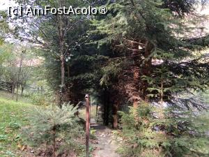 [P52] Pensiunea Domnescu, Sălişte - &icirc;n pădurea pensiunii » foto by nicole33
 - 
<span class="allrVoted glyphicon glyphicon-heart hidden" id="av1407004"></span>
<a class="m-l-10 hidden" id="sv1407004" onclick="voting_Foto_DelVot(,1407004,956)" role="button">șterge vot <span class="glyphicon glyphicon-remove"></span></a>
<a id="v91407004" class=" c-red"  onclick="voting_Foto_SetVot(1407004)" role="button"><span class="glyphicon glyphicon-heart-empty"></span> <b>LIKE</b> = Votează poza</a> <img class="hidden"  id="f1407004W9" src="/imagini/loader.gif" border="0" /><span class="AjErrMes hidden" id="e1407004ErM"></span>