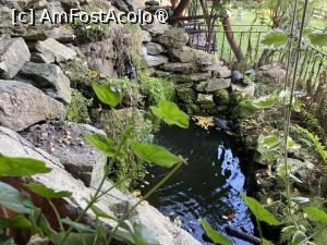 [P58] Pensiunea Domnescu, Sălişte - iazul » foto by nicole33
 - 
<span class="allrVoted glyphicon glyphicon-heart hidden" id="av1407010"></span>
<a class="m-l-10 hidden" id="sv1407010" onclick="voting_Foto_DelVot(,1407010,956)" role="button">șterge vot <span class="glyphicon glyphicon-remove"></span></a>
<a id="v91407010" class=" c-red"  onclick="voting_Foto_SetVot(1407010)" role="button"><span class="glyphicon glyphicon-heart-empty"></span> <b>LIKE</b> = Votează poza</a> <img class="hidden"  id="f1407010W9" src="/imagini/loader.gif" border="0" /><span class="AjErrMes hidden" id="e1407010ErM"></span>