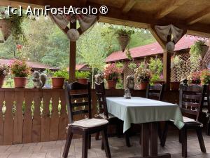 [P06] Pensiunea Domnescu, Sălişte - pe terasă » foto by nicole33
 - 
<span class="allrVoted glyphicon glyphicon-heart hidden" id="av1406958"></span>
<a class="m-l-10 hidden" id="sv1406958" onclick="voting_Foto_DelVot(,1406958,956)" role="button">șterge vot <span class="glyphicon glyphicon-remove"></span></a>
<a id="v91406958" class=" c-red"  onclick="voting_Foto_SetVot(1406958)" role="button"><span class="glyphicon glyphicon-heart-empty"></span> <b>LIKE</b> = Votează poza</a> <img class="hidden"  id="f1406958W9" src="/imagini/loader.gif" border="0" /><span class="AjErrMes hidden" id="e1406958ErM"></span>