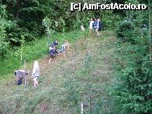 [P01]  -- <small>// FĂRĂ DESCRIERE</small> » foto by Gabriel AKD
 - 
<span class="allrVoted glyphicon glyphicon-heart hidden" id="av219145"></span>
<a class="m-l-10 hidden" id="sv219145" onclick="voting_Foto_DelVot(,219145,956)" role="button">șterge vot <span class="glyphicon glyphicon-remove"></span></a>
<a id="v9219145" class=" c-red"  onclick="voting_Foto_SetVot(219145)" role="button"><span class="glyphicon glyphicon-heart-empty"></span> <b>LIKE</b> = Votează poza</a> <img class="hidden"  id="f219145W9" src="/imagini/loader.gif" border="0" /><span class="AjErrMes hidden" id="e219145ErM"></span>