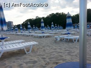 [P08] pescarusul curios » foto by Aliona R
 - 
<span class="allrVoted glyphicon glyphicon-heart hidden" id="av1025785"></span>
<a class="m-l-10 hidden" id="sv1025785" onclick="voting_Foto_DelVot(,1025785,978)" role="button">șterge vot <span class="glyphicon glyphicon-remove"></span></a>
<a id="v91025785" class=" c-red"  onclick="voting_Foto_SetVot(1025785)" role="button"><span class="glyphicon glyphicon-heart-empty"></span> <b>LIKE</b> = Votează poza</a> <img class="hidden"  id="f1025785W9" src="/imagini/loader.gif" border="0" /><span class="AjErrMes hidden" id="e1025785ErM"></span>