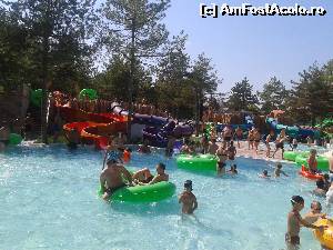 [P10] aquapark » foto by stefi16
 - 
<span class="allrVoted glyphicon glyphicon-heart hidden" id="av552337"></span>
<a class="m-l-10 hidden" id="sv552337" onclick="voting_Foto_DelVot(,552337,979)" role="button">șterge vot <span class="glyphicon glyphicon-remove"></span></a>
<a id="v9552337" class=" c-red"  onclick="voting_Foto_SetVot(552337)" role="button"><span class="glyphicon glyphicon-heart-empty"></span> <b>LIKE</b> = Votează poza</a> <img class="hidden"  id="f552337W9" src="/imagini/loader.gif" border="0" /><span class="AjErrMes hidden" id="e552337ErM"></span>