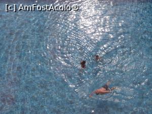 [P45] Grifid Vistamar din Nisipuri - bălăceală în piscină » foto by nicole33
 - 
<span class="allrVoted glyphicon glyphicon-heart hidden" id="av1462614"></span>
<a class="m-l-10 hidden" id="sv1462614" onclick="voting_Foto_DelVot(,1462614,1003)" role="button">șterge vot <span class="glyphicon glyphicon-remove"></span></a>
<a id="v91462614" class=" c-red"  onclick="voting_Foto_SetVot(1462614)" role="button"><span class="glyphicon glyphicon-heart-empty"></span> <b>LIKE</b> = Votează poza</a> <img class="hidden"  id="f1462614W9" src="/imagini/loader.gif" border="0" /><span class="AjErrMes hidden" id="e1462614ErM"></span>