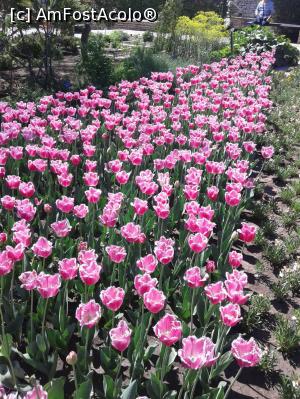 [P01] Gradina Balcic » foto by Raluca S.
 - 
<span class="allrVoted glyphicon glyphicon-heart hidden" id="av962981"></span>
<a class="m-l-10 hidden" id="sv962981" onclick="voting_Foto_DelVot(,962981,1003)" role="button">șterge vot <span class="glyphicon glyphicon-remove"></span></a>
<a id="v9962981" class=" c-red"  onclick="voting_Foto_SetVot(962981)" role="button"><span class="glyphicon glyphicon-heart-empty"></span> <b>LIKE</b> = Votează poza</a> <img class="hidden"  id="f962981W9" src="/imagini/loader.gif" border="0" /><span class="AjErrMes hidden" id="e962981ErM"></span>