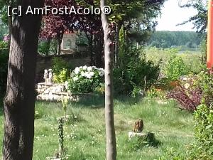 [P09] Bujorul de la Mănăstirea Dervent » foto by Raluca S.
 - 
<span class="allrVoted glyphicon glyphicon-heart hidden" id="av962989"></span>
<a class="m-l-10 hidden" id="sv962989" onclick="voting_Foto_DelVot(,962989,1003)" role="button">șterge vot <span class="glyphicon glyphicon-remove"></span></a>
<a id="v9962989" class=" c-red"  onclick="voting_Foto_SetVot(962989)" role="button"><span class="glyphicon glyphicon-heart-empty"></span> <b>LIKE</b> = Votează poza</a> <img class="hidden"  id="f962989W9" src="/imagini/loader.gif" border="0" /><span class="AjErrMes hidden" id="e962989ErM"></span>