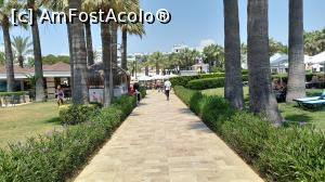 [P06]  -- <small>// FĂRĂ DESCRIERE</small> » foto by george arad
 - 
<span class="allrVoted glyphicon glyphicon-heart hidden" id="av1373861"></span>
<a class="m-l-10 hidden" id="sv1373861" onclick="voting_Foto_DelVot(,1373861,1043)" role="button">șterge vot <span class="glyphicon glyphicon-remove"></span></a>
<a id="v91373861" class=" c-red"  onclick="voting_Foto_SetVot(1373861)" role="button"><span class="glyphicon glyphicon-heart-empty"></span> <b>LIKE</b> = Votează poza</a> <img class="hidden"  id="f1373861W9" src="/imagini/loader.gif" border="0" /><span class="AjErrMes hidden" id="e1373861ErM"></span>