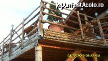 [P49] terasa restaurantului. » foto by adryana
 - 
<span class="allrVoted glyphicon glyphicon-heart hidden" id="av293950"></span>
<a class="m-l-10 hidden" id="sv293950" onclick="voting_Foto_DelVot(,293950,1079)" role="button">șterge vot <span class="glyphicon glyphicon-remove"></span></a>
<a id="v9293950" class=" c-red"  onclick="voting_Foto_SetVot(293950)" role="button"><span class="glyphicon glyphicon-heart-empty"></span> <b>LIKE</b> = Votează poza</a> <img class="hidden"  id="f293950W9" src="/imagini/loader.gif" border="0" /><span class="AjErrMes hidden" id="e293950ErM"></span>