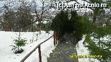 [P80] parcul complexului,observati aleile. » foto by adryana
 - 
<span class="allrVoted glyphicon glyphicon-heart hidden" id="av293981"></span>
<a class="m-l-10 hidden" id="sv293981" onclick="voting_Foto_DelVot(,293981,1079)" role="button">șterge vot <span class="glyphicon glyphicon-remove"></span></a>
<a id="v9293981" class=" c-red"  onclick="voting_Foto_SetVot(293981)" role="button"><span class="glyphicon glyphicon-heart-empty"></span> <b>LIKE</b> = Votează poza</a> <img class="hidden"  id="f293981W9" src="/imagini/loader.gif" border="0" /><span class="AjErrMes hidden" id="e293981ErM"></span>