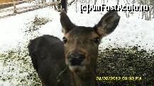 [P96]  -- <small>// FĂRĂ DESCRIERE</small> » foto by adryana
 - 
<span class="allrVoted glyphicon glyphicon-heart hidden" id="av293997"></span>
<a class="m-l-10 hidden" id="sv293997" onclick="voting_Foto_DelVot(,293997,1079)" role="button">șterge vot <span class="glyphicon glyphicon-remove"></span></a>
<a id="v9293997" class=" c-red"  onclick="voting_Foto_SetVot(293997)" role="button"><span class="glyphicon glyphicon-heart-empty"></span> <b>LIKE</b> = Votează poza</a> <img class="hidden"  id="f293997W9" src="/imagini/loader.gif" border="0" /><span class="AjErrMes hidden" id="e293997ErM"></span>