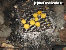 [P22] Bulzul oferit din partea casei la stana » foto by amalyca
 - 
<span class="allrVoted glyphicon glyphicon-heart hidden" id="av138411"></span>
<a class="m-l-10 hidden" id="sv138411" onclick="voting_Foto_DelVot(,138411,1079)" role="button">șterge vot <span class="glyphicon glyphicon-remove"></span></a>
<a id="v9138411" class=" c-red"  onclick="voting_Foto_SetVot(138411)" role="button"><span class="glyphicon glyphicon-heart-empty"></span> <b>LIKE</b> = Votează poza</a> <img class="hidden"  id="f138411W9" src="/imagini/loader.gif" border="0" /><span class="AjErrMes hidden" id="e138411ErM"></span>