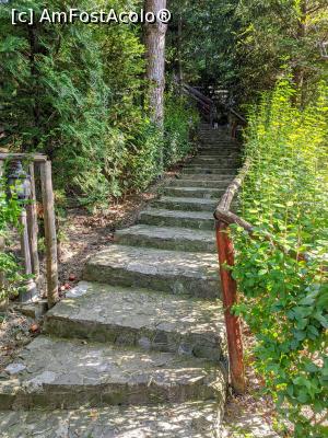 [P37] Multe scari » foto by benea
 - 
<span class="allrVoted glyphicon glyphicon-heart hidden" id="av1254626"></span>
<a class="m-l-10 hidden" id="sv1254626" onclick="voting_Foto_DelVot(,1254626,1079)" role="button">șterge vot <span class="glyphicon glyphicon-remove"></span></a>
<a id="v91254626" class=" c-red"  onclick="voting_Foto_SetVot(1254626)" role="button"><span class="glyphicon glyphicon-heart-empty"></span> <b>LIKE</b> = Votează poza</a> <img class="hidden"  id="f1254626W9" src="/imagini/loader.gif" border="0" /><span class="AjErrMes hidden" id="e1254626ErM"></span>