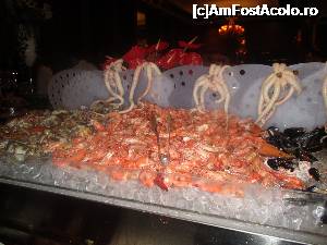 [P23] Fructe de mare.  » foto by kiki
 - 
<span class="allrVoted glyphicon glyphicon-heart hidden" id="av701263"></span>
<a class="m-l-10 hidden" id="sv701263" onclick="voting_Foto_DelVot(,701263,1096)" role="button">șterge vot <span class="glyphicon glyphicon-remove"></span></a>
<a id="v9701263" class=" c-red"  onclick="voting_Foto_SetVot(701263)" role="button"><span class="glyphicon glyphicon-heart-empty"></span> <b>LIKE</b> = Votează poza</a> <img class="hidden"  id="f701263W9" src="/imagini/loader.gif" border="0" /><span class="AjErrMes hidden" id="e701263ErM"></span>