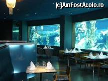 [P05] Aquarium restaurant » foto by Kyandra
 - 
<span class="allrVoted glyphicon glyphicon-heart hidden" id="av126109"></span>
<a class="m-l-10 hidden" id="sv126109" onclick="voting_Foto_DelVot(,126109,1096)" role="button">șterge vot <span class="glyphicon glyphicon-remove"></span></a>
<a id="v9126109" class=" c-red"  onclick="voting_Foto_SetVot(126109)" role="button"><span class="glyphicon glyphicon-heart-empty"></span> <b>LIKE</b> = Votează poza</a> <img class="hidden"  id="f126109W9" src="/imagini/loader.gif" border="0" /><span class="AjErrMes hidden" id="e126109ErM"></span>