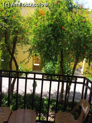 [P04] Vedere din balcon » foto by gianimary
 - 
<span class="allrVoted glyphicon glyphicon-heart hidden" id="av1367830"></span>
<a class="m-l-10 hidden" id="sv1367830" onclick="voting_Foto_DelVot(,1367830,1101)" role="button">șterge vot <span class="glyphicon glyphicon-remove"></span></a>
<a id="v91367830" class=" c-red"  onclick="voting_Foto_SetVot(1367830)" role="button"><span class="glyphicon glyphicon-heart-empty"></span> <b>LIKE</b> = Votează poza</a> <img class="hidden"  id="f1367830W9" src="/imagini/loader.gif" border="0" /><span class="AjErrMes hidden" id="e1367830ErM"></span>