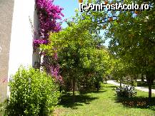 [P19] gradinile superbe » foto by bitnic
 - 
<span class="allrVoted glyphicon glyphicon-heart hidden" id="av33980"></span>
<a class="m-l-10 hidden" id="sv33980" onclick="voting_Foto_DelVot(,33980,1101)" role="button">șterge vot <span class="glyphicon glyphicon-remove"></span></a>
<a id="v933980" class=" c-red"  onclick="voting_Foto_SetVot(33980)" role="button"><span class="glyphicon glyphicon-heart-empty"></span> <b>LIKE</b> = Votează poza</a> <img class="hidden"  id="f33980W9" src="/imagini/loader.gif" border="0" /><span class="AjErrMes hidden" id="e33980ErM"></span>