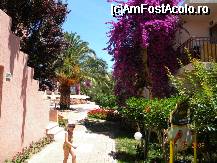 [P20] in dreapta se vede locul special amenajat pentru colectarea farfuriilor si paharelor folosite in camera, despre care am pomenit intr-un ecou » foto by bitnic
 - 
<span class="allrVoted glyphicon glyphicon-heart hidden" id="av33981"></span>
<a class="m-l-10 hidden" id="sv33981" onclick="voting_Foto_DelVot(,33981,1101)" role="button">șterge vot <span class="glyphicon glyphicon-remove"></span></a>
<a id="v933981" class=" c-red"  onclick="voting_Foto_SetVot(33981)" role="button"><span class="glyphicon glyphicon-heart-empty"></span> <b>LIKE</b> = Votează poza</a> <img class="hidden"  id="f33981W9" src="/imagini/loader.gif" border="0" /><span class="AjErrMes hidden" id="e33981ErM"></span>