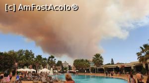 [P12] Incendiu de vegetatie » foto by 4ndrei
 - 
<span class="allrVoted glyphicon glyphicon-heart hidden" id="av1242358"></span>
<a class="m-l-10 hidden" id="sv1242358" onclick="voting_Foto_DelVot(,1242358,1101)" role="button">șterge vot <span class="glyphicon glyphicon-remove"></span></a>
<a id="v91242358" class=" c-red"  onclick="voting_Foto_SetVot(1242358)" role="button"><span class="glyphicon glyphicon-heart-empty"></span> <b>LIKE</b> = Votează poza</a> <img class="hidden"  id="f1242358W9" src="/imagini/loader.gif" border="0" /><span class="AjErrMes hidden" id="e1242358ErM"></span>