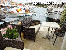 [P11] ...lene... de Fiscardo.Comandam ceva? » foto by maryka
 - 
<span class="allrVoted glyphicon glyphicon-heart hidden" id="av322907"></span>
<a class="m-l-10 hidden" id="sv322907" onclick="voting_Foto_DelVot(,322907,1121)" role="button">șterge vot <span class="glyphicon glyphicon-remove"></span></a>
<a id="v9322907" class=" c-red"  onclick="voting_Foto_SetVot(322907)" role="button"><span class="glyphicon glyphicon-heart-empty"></span> <b>LIKE</b> = Votează poza</a> <img class="hidden"  id="f322907W9" src="/imagini/loader.gif" border="0" /><span class="AjErrMes hidden" id="e322907ErM"></span>