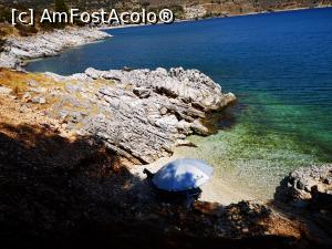 [P22] &Icirc;ntre Agia Efimia și Sami (o plăjuță din Ag. Paraskevi) » foto by crismis
 - 
<span class="allrVoted glyphicon glyphicon-heart hidden" id="av1263695"></span>
<a class="m-l-10 hidden" id="sv1263695" onclick="voting_Foto_DelVot(,1263695,1121)" role="button">șterge vot <span class="glyphicon glyphicon-remove"></span></a>
<a id="v91263695" class=" c-red"  onclick="voting_Foto_SetVot(1263695)" role="button"><span class="glyphicon glyphicon-heart-empty"></span> <b>LIKE</b> = Votează poza</a> <img class="hidden"  id="f1263695W9" src="/imagini/loader.gif" border="0" /><span class="AjErrMes hidden" id="e1263695ErM"></span>