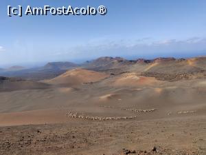 [P20] Parcul Național Timafaya » foto by crismis
 - 
<span class="allrVoted glyphicon glyphicon-heart hidden" id="av1484650"></span>
<a class="m-l-10 hidden" id="sv1484650" onclick="voting_Foto_DelVot(,1484650,1154)" role="button">șterge vot <span class="glyphicon glyphicon-remove"></span></a>
<a id="v91484650" class=" c-red"  onclick="voting_Foto_SetVot(1484650)" role="button"><span class="glyphicon glyphicon-heart-empty"></span> <b>LIKE</b> = Votează poza</a> <img class="hidden"  id="f1484650W9" src="/imagini/loader.gif" border="0" /><span class="AjErrMes hidden" id="e1484650ErM"></span>
