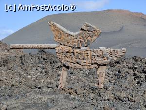 [P09] Parcul Național Timafaya » foto by crismis
 - 
<span class="allrVoted glyphicon glyphicon-heart hidden" id="av1484639"></span>
<a class="m-l-10 hidden" id="sv1484639" onclick="voting_Foto_DelVot(,1484639,1154)" role="button">șterge vot <span class="glyphicon glyphicon-remove"></span></a>
<a id="v91484639" class=" c-red"  onclick="voting_Foto_SetVot(1484639)" role="button"><span class="glyphicon glyphicon-heart-empty"></span> <b>LIKE</b> = Votează poza</a> <img class="hidden"  id="f1484639W9" src="/imagini/loader.gif" border="0" /><span class="AjErrMes hidden" id="e1484639ErM"></span>