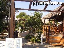 [P05] taverna Karibu » foto by lumigina
 - 
<span class="allrVoted glyphicon glyphicon-heart hidden" id="av3609"></span>
<a class="m-l-10 hidden" id="sv3609" onclick="voting_Foto_DelVot(,3609,1165)" role="button">șterge vot <span class="glyphicon glyphicon-remove"></span></a>
<a id="v93609" class=" c-red"  onclick="voting_Foto_SetVot(3609)" role="button"><span class="glyphicon glyphicon-heart-empty"></span> <b>LIKE</b> = Votează poza</a> <img class="hidden"  id="f3609W9" src="/imagini/loader.gif" border="0" /><span class="AjErrMes hidden" id="e3609ErM"></span>
