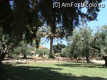 [P22]  -- <small>// FĂRĂ DESCRIERE</small> » foto by ciobi2309
 - 
<span class="allrVoted glyphicon glyphicon-heart hidden" id="av13363"></span>
<a class="m-l-10 hidden" id="sv13363" onclick="voting_Foto_DelVot(,13363,1165)" role="button">șterge vot <span class="glyphicon glyphicon-remove"></span></a>
<a id="v913363" class=" c-red"  onclick="voting_Foto_SetVot(13363)" role="button"><span class="glyphicon glyphicon-heart-empty"></span> <b>LIKE</b> = Votează poza</a> <img class="hidden"  id="f13363W9" src="/imagini/loader.gif" border="0" /><span class="AjErrMes hidden" id="e13363ErM"></span>