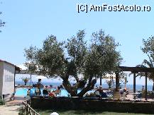 [P24] PISCINA » foto by ciobi2309
 - 
<span class="allrVoted glyphicon glyphicon-heart hidden" id="av13365"></span>
<a class="m-l-10 hidden" id="sv13365" onclick="voting_Foto_DelVot(,13365,1165)" role="button">șterge vot <span class="glyphicon glyphicon-remove"></span></a>
<a id="v913365" class=" c-red"  onclick="voting_Foto_SetVot(13365)" role="button"><span class="glyphicon glyphicon-heart-empty"></span> <b>LIKE</b> = Votează poza</a> <img class="hidden"  id="f13365W9" src="/imagini/loader.gif" border="0" /><span class="AjErrMes hidden" id="e13365ErM"></span>