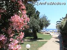 [P29]  -- <small>// FĂRĂ DESCRIERE</small> » foto by ciobi2309
 - 
<span class="allrVoted glyphicon glyphicon-heart hidden" id="av13370"></span>
<a class="m-l-10 hidden" id="sv13370" onclick="voting_Foto_DelVot(,13370,1165)" role="button">șterge vot <span class="glyphicon glyphicon-remove"></span></a>
<a id="v913370" class=" c-red"  onclick="voting_Foto_SetVot(13370)" role="button"><span class="glyphicon glyphicon-heart-empty"></span> <b>LIKE</b> = Votează poza</a> <img class="hidden"  id="f13370W9" src="/imagini/loader.gif" border="0" /><span class="AjErrMes hidden" id="e13370ErM"></span>