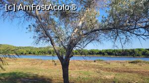 [P17] Lacul din Koukounaries, Skiathos » foto by vlado2
 - 
<span class="allrVoted glyphicon glyphicon-heart hidden" id="av1521987"></span>
<a class="m-l-10 hidden" id="sv1521987" onclick="voting_Foto_DelVot(,1521987,1166)" role="button">șterge vot <span class="glyphicon glyphicon-remove"></span></a>
<a id="v91521987" class=" c-red"  onclick="voting_Foto_SetVot(1521987)" role="button"><span class="glyphicon glyphicon-heart-empty"></span> <b>LIKE</b> = Votează poza</a> <img class="hidden"  id="f1521987W9" src="/imagini/loader.gif" border="0" /><span class="AjErrMes hidden" id="e1521987ErM"></span>