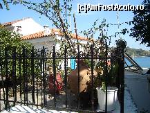 [P40] pasiunea pentru flori, la orice pas- Skiathos » foto by mirelopodu*
 - 
<span class="allrVoted glyphicon glyphicon-heart hidden" id="av35958"></span>
<a class="m-l-10 hidden" id="sv35958" onclick="voting_Foto_DelVot(,35958,1166)" role="button">șterge vot <span class="glyphicon glyphicon-remove"></span></a>
<a id="v935958" class=" c-red"  onclick="voting_Foto_SetVot(35958)" role="button"><span class="glyphicon glyphicon-heart-empty"></span> <b>LIKE</b> = Votează poza</a> <img class="hidden"  id="f35958W9" src="/imagini/loader.gif" border="0" /><span class="AjErrMes hidden" id="e35958ErM"></span>