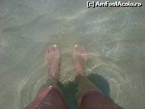 [P05] Nisipul si apa - plaja Koukounaries » foto by Ondina
 - 
<span class="allrVoted glyphicon glyphicon-heart hidden" id="av650031"></span>
<a class="m-l-10 hidden" id="sv650031" onclick="voting_Foto_DelVot(,650031,1166)" role="button">șterge vot <span class="glyphicon glyphicon-remove"></span></a>
<a id="v9650031" class=" c-red"  onclick="voting_Foto_SetVot(650031)" role="button"><span class="glyphicon glyphicon-heart-empty"></span> <b>LIKE</b> = Votează poza</a> <img class="hidden"  id="f650031W9" src="/imagini/loader.gif" border="0" /><span class="AjErrMes hidden" id="e650031ErM"></span>