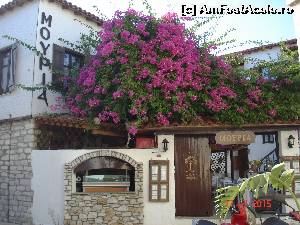 [P05] Un hotel si taverna pe una din stradutele inguste » foto by ANILU
 - 
<span class="allrVoted glyphicon glyphicon-heart hidden" id="av642212"></span>
<a class="m-l-10 hidden" id="sv642212" onclick="voting_Foto_DelVot(,642212,1166)" role="button">șterge vot <span class="glyphicon glyphicon-remove"></span></a>
<a id="v9642212" class=" c-red"  onclick="voting_Foto_SetVot(642212)" role="button"><span class="glyphicon glyphicon-heart-empty"></span> <b>LIKE</b> = Votează poza</a> <img class="hidden"  id="f642212W9" src="/imagini/loader.gif" border="0" /><span class="AjErrMes hidden" id="e642212ErM"></span>