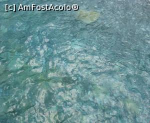 [P11] Apa la plaja de la Kastru » foto by zozo
 - 
<span class="allrVoted glyphicon glyphicon-heart hidden" id="av775026"></span>
<a class="m-l-10 hidden" id="sv775026" onclick="voting_Foto_DelVot(,775026,1166)" role="button">șterge vot <span class="glyphicon glyphicon-remove"></span></a>
<a id="v9775026" class=" c-red"  onclick="voting_Foto_SetVot(775026)" role="button"><span class="glyphicon glyphicon-heart-empty"></span> <b>LIKE</b> = Votează poza</a> <img class="hidden"  id="f775026W9" src="/imagini/loader.gif" border="0" /><span class="AjErrMes hidden" id="e775026ErM"></span>