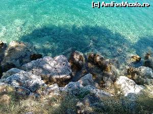 [P21] Daca noi avem 'iarba verde de acasa', grecii din Skiathos au 'apa verde de acasa', langa peninsula Bourtzi » foto by dorgo
 - 
<span class="allrVoted glyphicon glyphicon-heart hidden" id="av641299"></span>
<a class="m-l-10 hidden" id="sv641299" onclick="voting_Foto_DelVot(,641299,1166)" role="button">șterge vot <span class="glyphicon glyphicon-remove"></span></a>
<a id="v9641299" class=" c-red"  onclick="voting_Foto_SetVot(641299)" role="button"><span class="glyphicon glyphicon-heart-empty"></span> <b>LIKE</b> = Votează poza</a> <img class="hidden"  id="f641299W9" src="/imagini/loader.gif" border="0" /><span class="AjErrMes hidden" id="e641299ErM"></span>