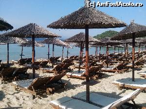 [P24] Plaja din Koukounaries » foto by dorgo
 - 
<span class="allrVoted glyphicon glyphicon-heart hidden" id="av641302"></span>
<a class="m-l-10 hidden" id="sv641302" onclick="voting_Foto_DelVot(,641302,1166)" role="button">șterge vot <span class="glyphicon glyphicon-remove"></span></a>
<a id="v9641302" class=" c-red"  onclick="voting_Foto_SetVot(641302)" role="button"><span class="glyphicon glyphicon-heart-empty"></span> <b>LIKE</b> = Votează poza</a> <img class="hidden"  id="f641302W9" src="/imagini/loader.gif" border="0" /><span class="AjErrMes hidden" id="e641302ErM"></span>