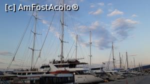 [P15] Portul din Nafplio » foto by Carmen Ion
 - 
<span class="allrVoted glyphicon glyphicon-heart hidden" id="av1270092"></span>
<a class="m-l-10 hidden" id="sv1270092" onclick="voting_Foto_DelVot(,1270092,1167)" role="button">șterge vot <span class="glyphicon glyphicon-remove"></span></a>
<a id="v91270092" class=" c-red"  onclick="voting_Foto_SetVot(1270092)" role="button"><span class="glyphicon glyphicon-heart-empty"></span> <b>LIKE</b> = Votează poza</a> <img class="hidden"  id="f1270092W9" src="/imagini/loader.gif" border="0" /><span class="AjErrMes hidden" id="e1270092ErM"></span>