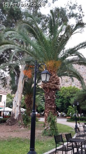 [P47] Piața Kolokotronis » foto by Carmen Ion
 - 
<span class="allrVoted glyphicon glyphicon-heart hidden" id="av1270159"></span>
<a class="m-l-10 hidden" id="sv1270159" onclick="voting_Foto_DelVot(,1270159,1167)" role="button">șterge vot <span class="glyphicon glyphicon-remove"></span></a>
<a id="v91270159" class=" c-red"  onclick="voting_Foto_SetVot(1270159)" role="button"><span class="glyphicon glyphicon-heart-empty"></span> <b>LIKE</b> = Votează poza</a> <img class="hidden"  id="f1270159W9" src="/imagini/loader.gif" border="0" /><span class="AjErrMes hidden" id="e1270159ErM"></span>