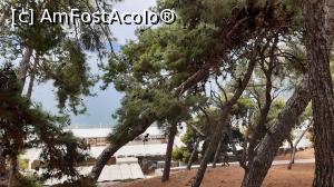 [P69] Plaja Arvanita văzută de la cetatea Akronafplia » foto by Carmen Ion
 - 
<span class="allrVoted glyphicon glyphicon-heart hidden" id="av1270181"></span>
<a class="m-l-10 hidden" id="sv1270181" onclick="voting_Foto_DelVot(,1270181,1167)" role="button">șterge vot <span class="glyphicon glyphicon-remove"></span></a>
<a id="v91270181" class=" c-red"  onclick="voting_Foto_SetVot(1270181)" role="button"><span class="glyphicon glyphicon-heart-empty"></span> <b>LIKE</b> = Votează poza</a> <img class="hidden"  id="f1270181W9" src="/imagini/loader.gif" border="0" /><span class="AjErrMes hidden" id="e1270181ErM"></span>