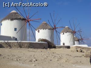 [P04] Morile de vant!  » foto by mogly
 - 
<span class="allrVoted glyphicon glyphicon-heart hidden" id="av797656"></span>
<a class="m-l-10 hidden" id="sv797656" onclick="voting_Foto_DelVot(,797656,1176)" role="button">șterge vot <span class="glyphicon glyphicon-remove"></span></a>
<a id="v9797656" class=" c-red"  onclick="voting_Foto_SetVot(797656)" role="button"><span class="glyphicon glyphicon-heart-empty"></span> <b>LIKE</b> = Votează poza</a> <img class="hidden"  id="f797656W9" src="/imagini/loader.gif" border="0" /><span class="AjErrMes hidden" id="e797656ErM"></span>