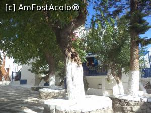 [P09] Liniste in Chora!  » foto by mogly
 - 
<span class="allrVoted glyphicon glyphicon-heart hidden" id="av797678"></span>
<a class="m-l-10 hidden" id="sv797678" onclick="voting_Foto_DelVot(,797678,1176)" role="button">șterge vot <span class="glyphicon glyphicon-remove"></span></a>
<a id="v9797678" class=" c-red"  onclick="voting_Foto_SetVot(797678)" role="button"><span class="glyphicon glyphicon-heart-empty"></span> <b>LIKE</b> = Votează poza</a> <img class="hidden"  id="f797678W9" src="/imagini/loader.gif" border="0" /><span class="AjErrMes hidden" id="e797678ErM"></span>