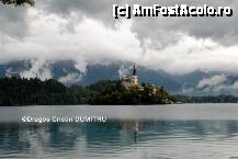 [P06] Bled » foto by cristinadumitru*
 - 
<span class="allrVoted glyphicon glyphicon-heart hidden" id="av6097"></span>
<a class="m-l-10 hidden" id="sv6097" onclick="voting_Foto_DelVot(,6097,1181)" role="button">șterge vot <span class="glyphicon glyphicon-remove"></span></a>
<a id="v96097" class=" c-red"  onclick="voting_Foto_SetVot(6097)" role="button"><span class="glyphicon glyphicon-heart-empty"></span> <b>LIKE</b> = Votează poza</a> <img class="hidden"  id="f6097W9" src="/imagini/loader.gif" border="0" /><span class="AjErrMes hidden" id="e6097ErM"></span>