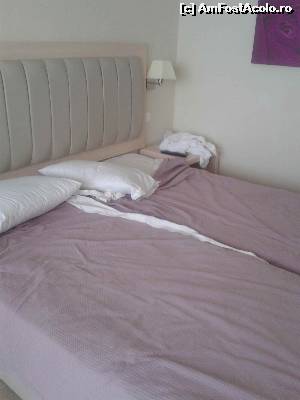 [P15] o parte din camera » foto by danadana*
 - 
<span class="allrVoted glyphicon glyphicon-heart hidden" id="av538882"></span>
<a class="m-l-10 hidden" id="sv538882" onclick="voting_Foto_DelVot(,538882,1198)" role="button">șterge vot <span class="glyphicon glyphicon-remove"></span></a>
<a id="v9538882" class=" c-red"  onclick="voting_Foto_SetVot(538882)" role="button"><span class="glyphicon glyphicon-heart-empty"></span> <b>LIKE</b> = Votează poza</a> <img class="hidden"  id="f538882W9" src="/imagini/loader.gif" border="0" /><span class="AjErrMes hidden" id="e538882ErM"></span>