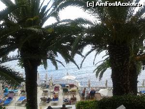 [P35] sezlongurile de la picina » foto by danadana*
 - 
<span class="allrVoted glyphicon glyphicon-heart hidden" id="av538903"></span>
<a class="m-l-10 hidden" id="sv538903" onclick="voting_Foto_DelVot(,538903,1198)" role="button">șterge vot <span class="glyphicon glyphicon-remove"></span></a>
<a id="v9538903" class=" c-red"  onclick="voting_Foto_SetVot(538903)" role="button"><span class="glyphicon glyphicon-heart-empty"></span> <b>LIKE</b> = Votează poza</a> <img class="hidden"  id="f538903W9" src="/imagini/loader.gif" border="0" /><span class="AjErrMes hidden" id="e538903ErM"></span>