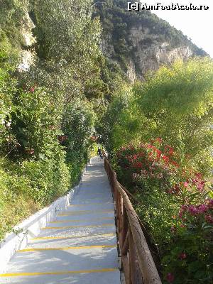 [P42] scarile spre plaja -de-o parte si de alta flori si palmieri » foto by danadana*
 - 
<span class="allrVoted glyphicon glyphicon-heart hidden" id="av538915"></span>
<a class="m-l-10 hidden" id="sv538915" onclick="voting_Foto_DelVot(,538915,1198)" role="button">șterge vot <span class="glyphicon glyphicon-remove"></span></a>
<a id="v9538915" class=" c-red"  onclick="voting_Foto_SetVot(538915)" role="button"><span class="glyphicon glyphicon-heart-empty"></span> <b>LIKE</b> = Votează poza</a> <img class="hidden"  id="f538915W9" src="/imagini/loader.gif" border="0" /><span class="AjErrMes hidden" id="e538915ErM"></span>